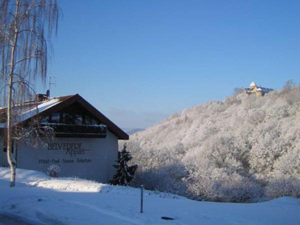 Belvedere Appart & Chalet - Ihr Zuhause Auf Zeit Am Edersee - Ihr Geschenk Die Gaestecard Grimmheimat Waldeck  Exteriör bild